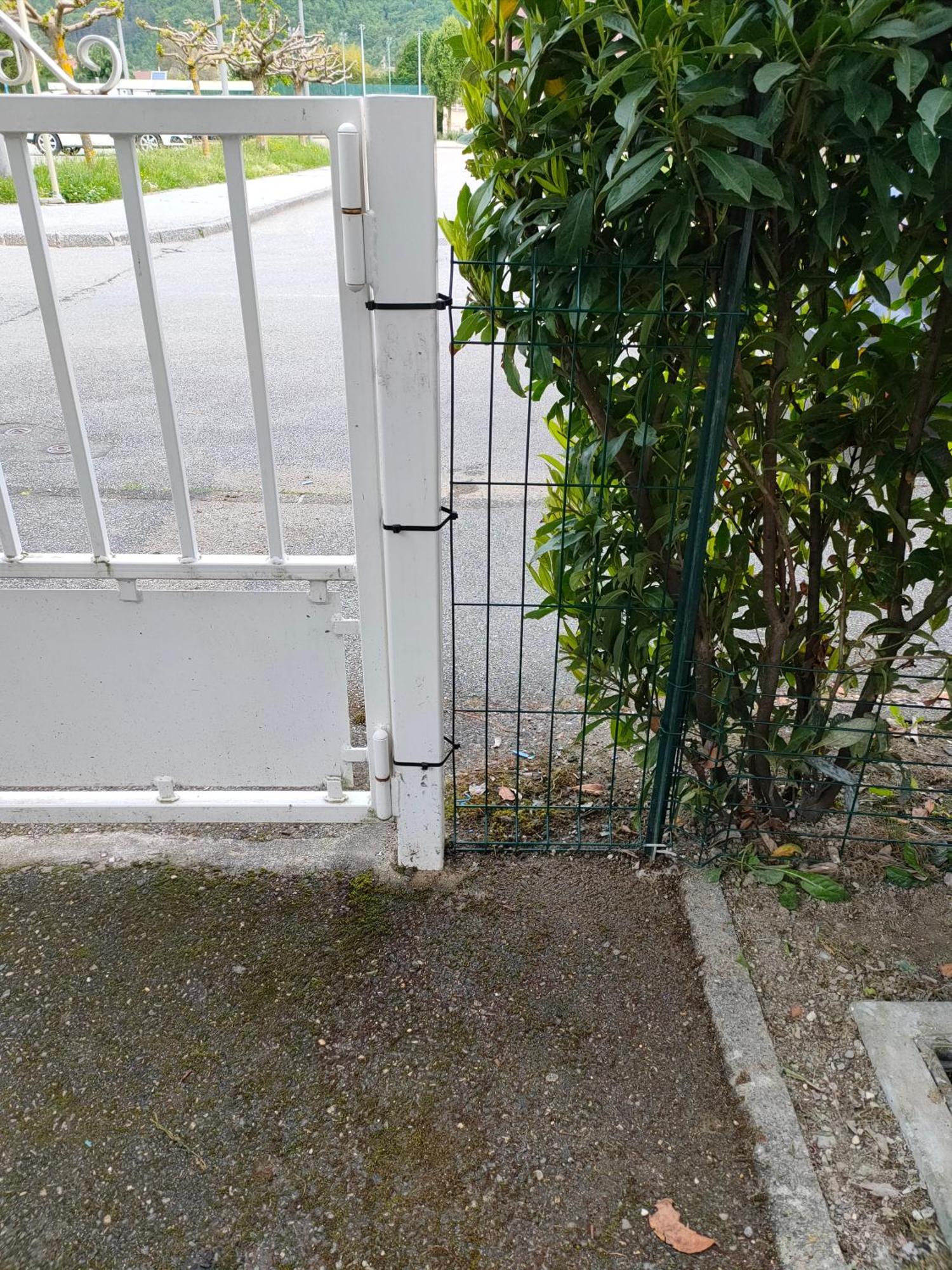 Le Nid Savoyard Apartment Faverges Exterior foto
