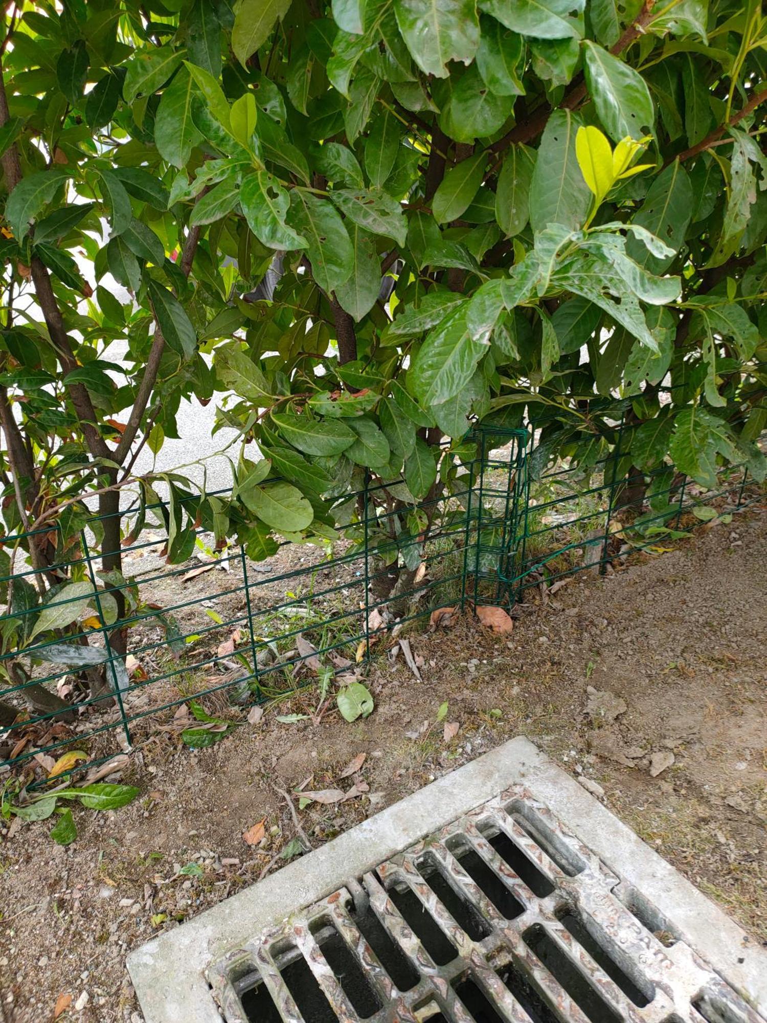 Le Nid Savoyard Apartment Faverges Exterior foto