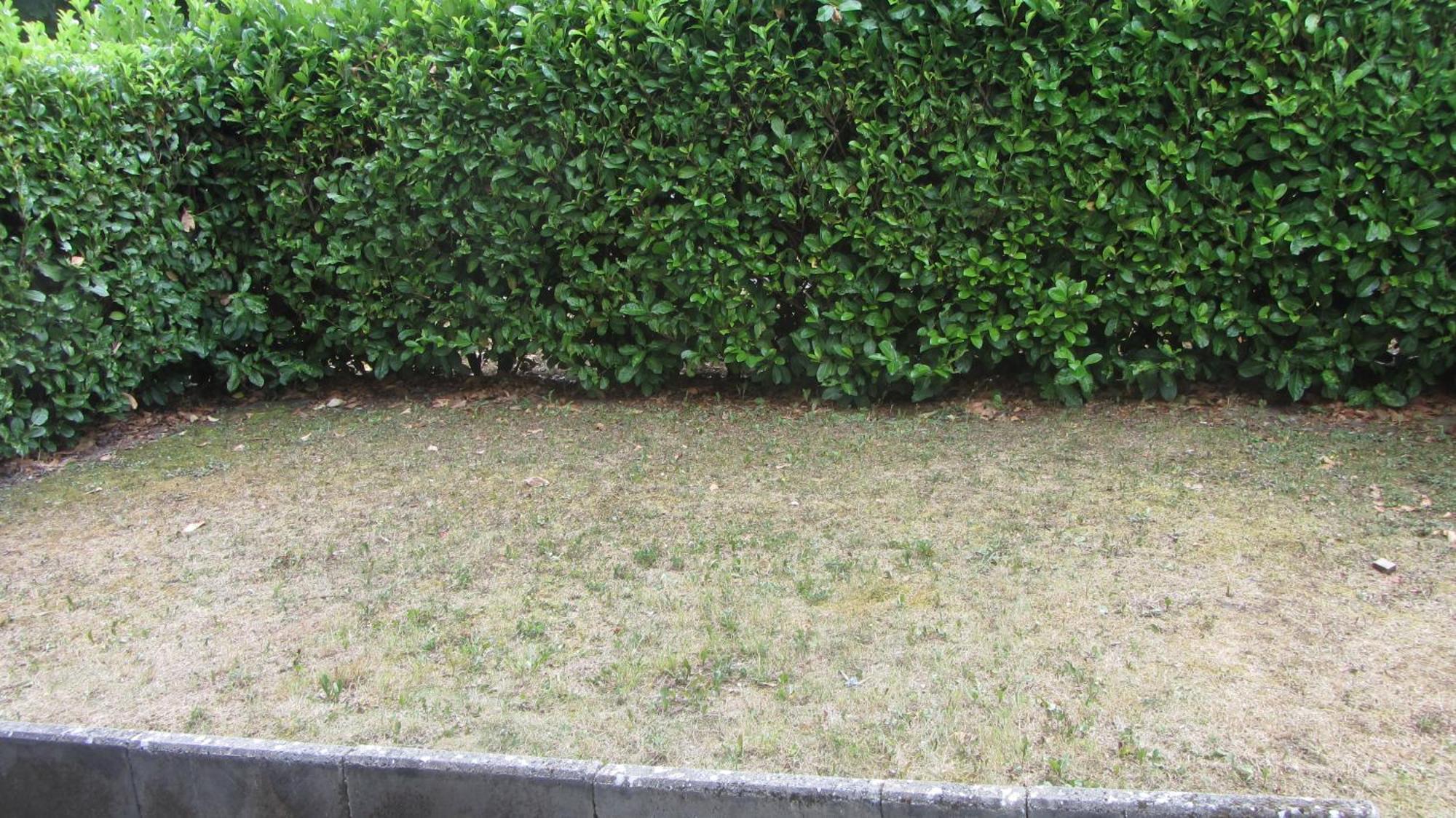 Le Nid Savoyard Apartment Faverges Exterior foto