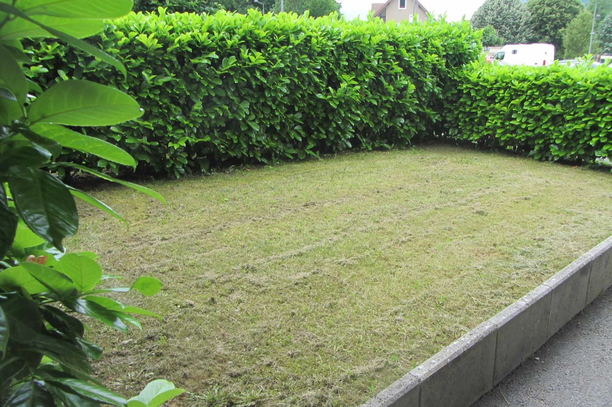 Le Nid Savoyard Apartment Faverges Exterior foto