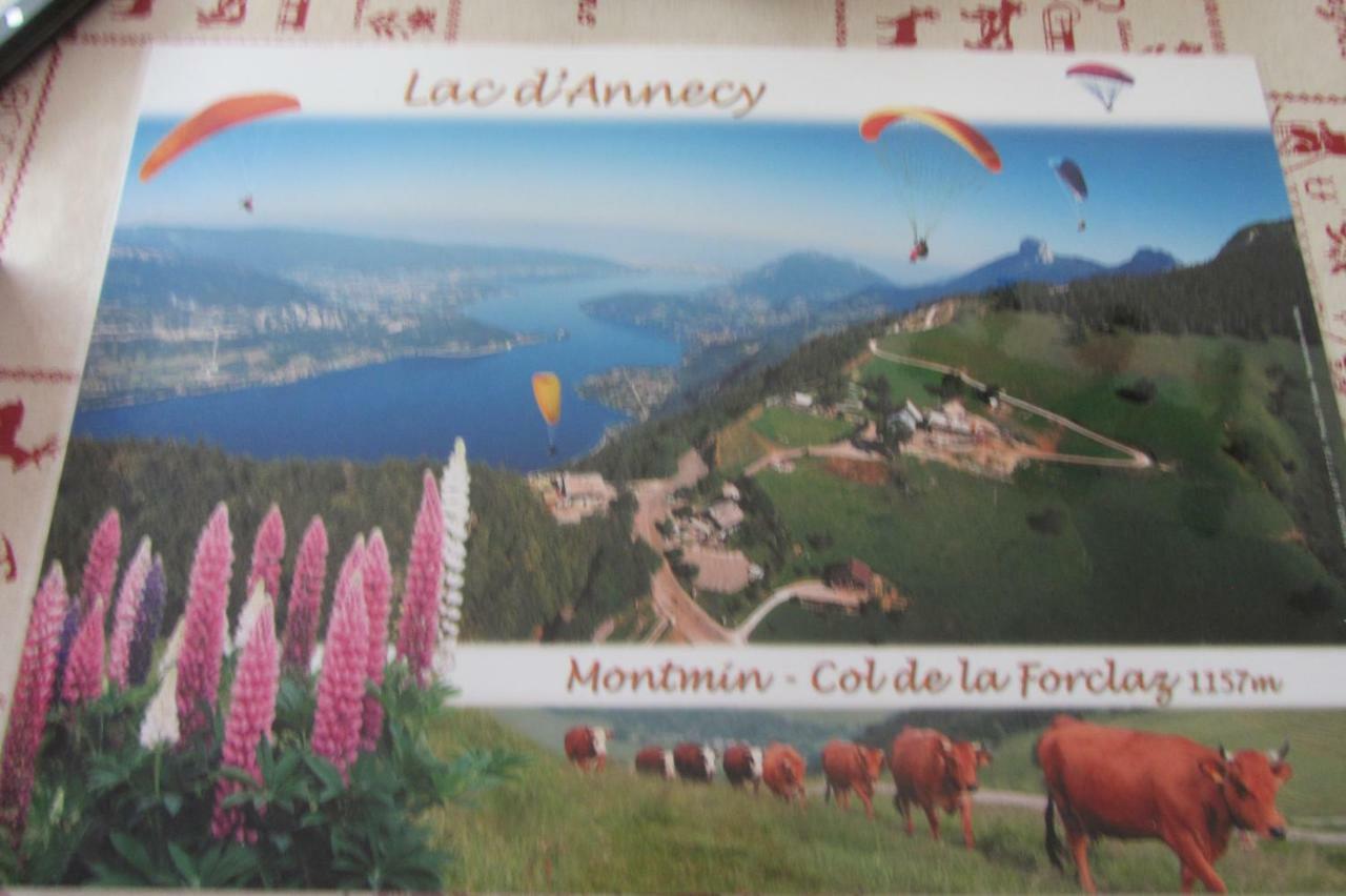 Le Nid Savoyard Apartment Faverges Exterior foto